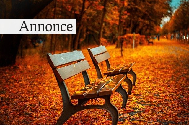 Udendørs bænke er en vigtig del af bybilledet